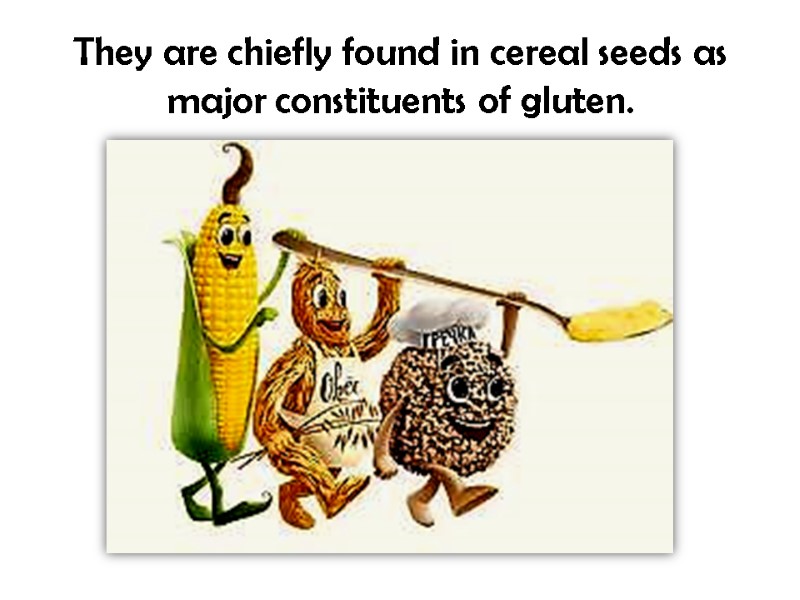 They are chiefly found in cereal seeds as major constituents of gluten.